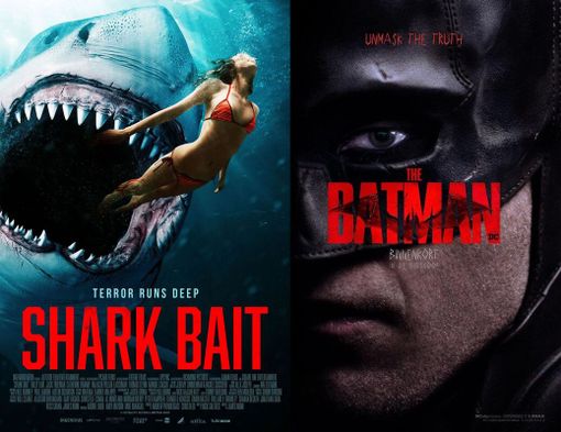 La programmazione del Cinema Corso