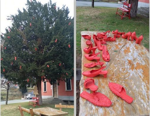 A Cuzzago un albero speciale per illuminare le coscienze A Cuzzago un albero speciale per illuminare le coscienze