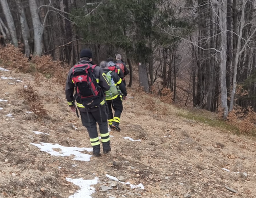 Cane scivola sul ghiaccio alle pendici del Pizzo Ragno: salvato dai vigili del fuoco