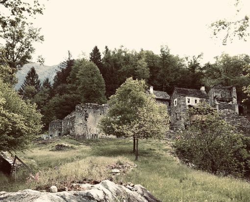 La Fondazione Canova celebra 30 anni di attività La Fondazione Canova celebra 30 anni di attività