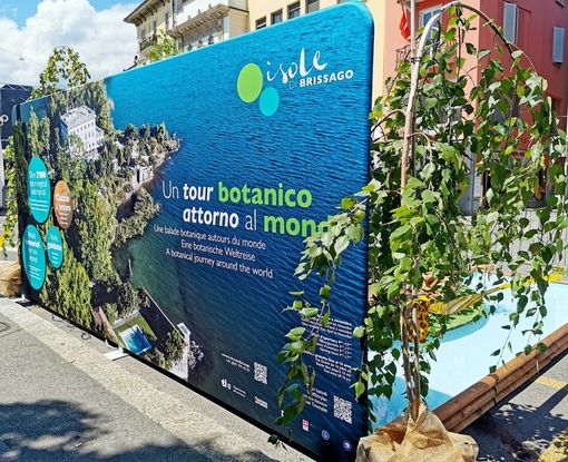 Le Isole di Brissago fanno bella mostra di sé nel cuore del Locarno Film Festival Le Isole di Brissago fanno bella mostra di sé nel cuore del Locarno Film Festival