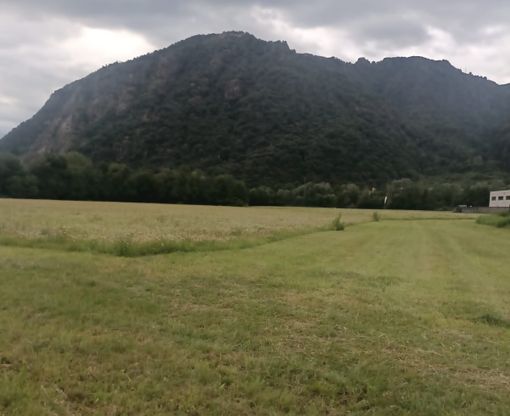 Morandi: "Sì all'ospedale unico, ma si evitino scontri tra territori per scegliere la sede" Morandi: "Sì all'ospedale unico, ma si evitino scontri tra territori per scegliere la sede"