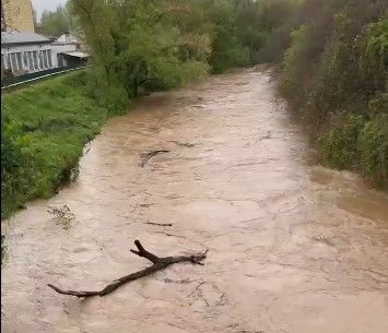 Foto di archivio Foto di archivio