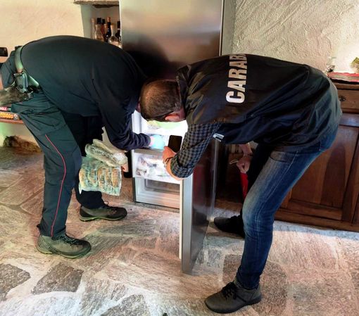 Operazione antibracconaggio in valle Anzasca, due persone denunciate