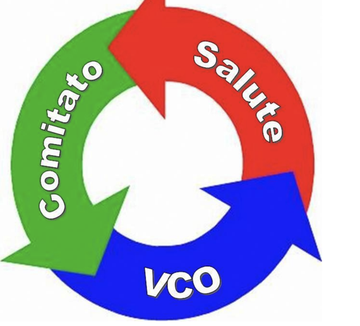 Comitato Salute Vco: “A chi dobbiamo chiedere i danni? Comitato Salute Vco: “A chi dobbiamo chiedere i danni?