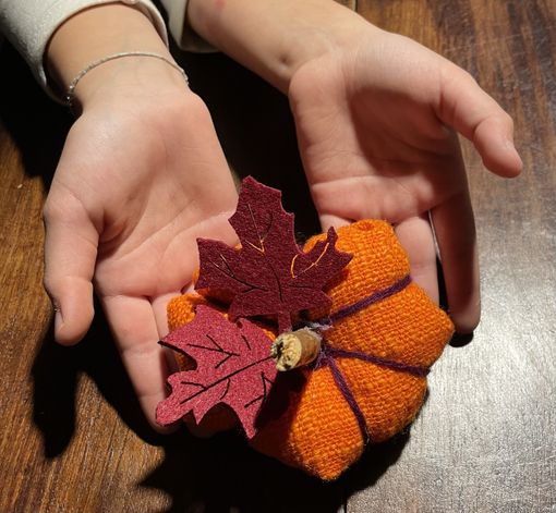 Grande successo per il laboratorio di zucche per i bambini di Trasquera