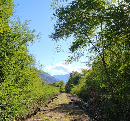 Nuovo percorso escursionistico a Cosasca: "Ripar andar per argini"