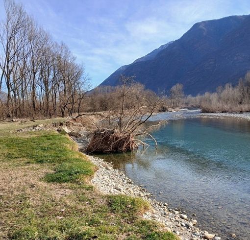 Via libera al progetto per la messa in sicurezza del Toce ai Calami Via libera al progetto per la messa in sicurezza del Toce ai Calami