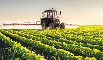 Osservatorio Enpaia-Censis del mondo agricolo, 70% italiani favorevole a lavorare oltre età pensionamento