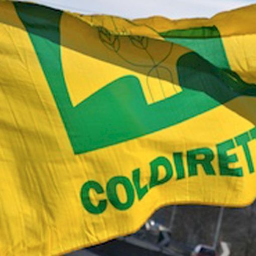 Coldiretti Piemonte sostiene il rilancio e lo sviluppo dell'agricoltura sociale