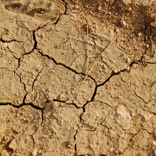Coldiretti: &quot;Necessario un tavolo di confronto regionale per la gestione risorse idriche&quot;