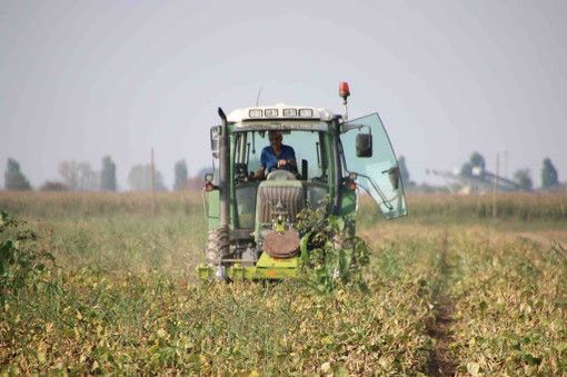 Gelata Piemonte, l'assessore Protopapa: “Duro colpo per l’agricoltura, già provata economicamente dalla pandemia”