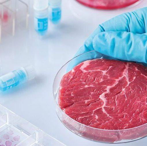 Coldiretti Novara-Vco: &quot;Da allergie al cancro, i rischi del cibo sintetico nel rapporto Fao&quot;