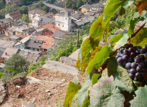 Bando Piccoli Comuni, Anci Piemonte: &quot;La mancanza di risorse penalizza gli enti&quot;