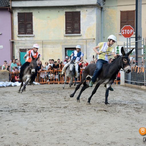 Tutto pronto per la 70esima edizione del Palio degli Asini