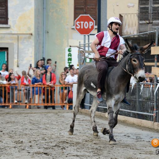 A Premosello un concorso di pittura dedicato all'asino