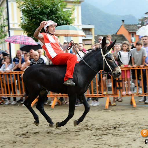 Premosello, cresce l'attesa per il tradizionale Palio degli Asini