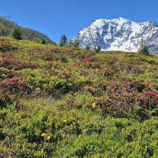 Dal ministero 800 mila euro per valorizzare il Sentiero Italia Cai in Piemonte
