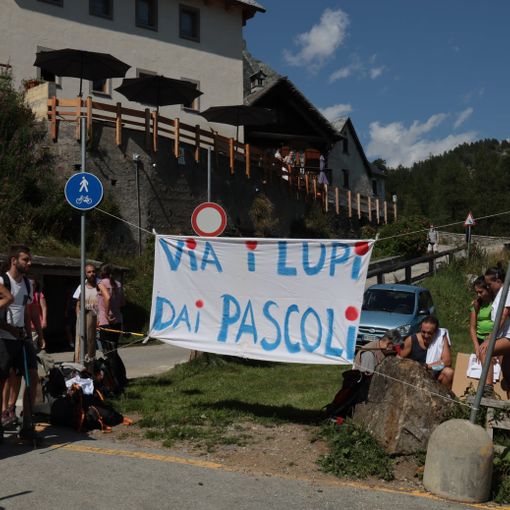 A Devero manifestanti 'no lupo' fanno saltare la presentazione di un libro per bambini che parla di lupi