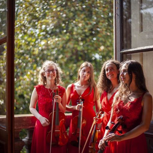 Pomeriggi in concerto, il 12 marzo esibizione del Quartetto Erinni