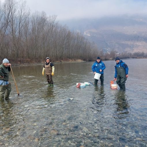 Foto da Facebook Sezione Provinciale Pescatori del V.C.O. fipsas
