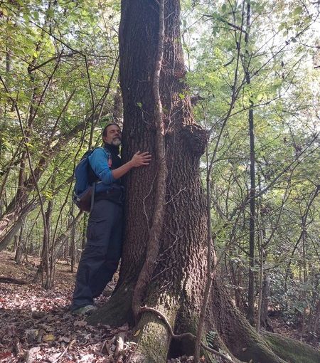 A Biella arriva il Forest Bathing, l'incontro ravvicinato con la natura a due passi dalla città