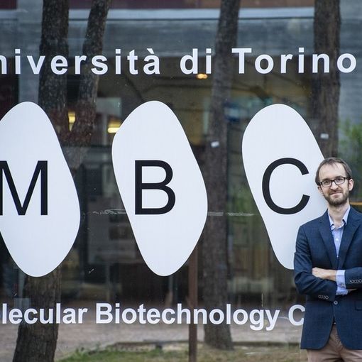 Le staminali modificate come &quot;antidoto&quot; alle aritmie cardiache