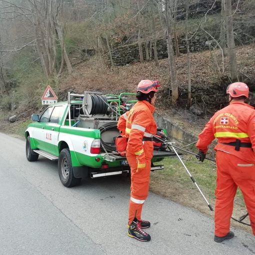 AIB Piemonte: &quot;Mai così vulnerabile il nostro patrimonio forestale &quot;