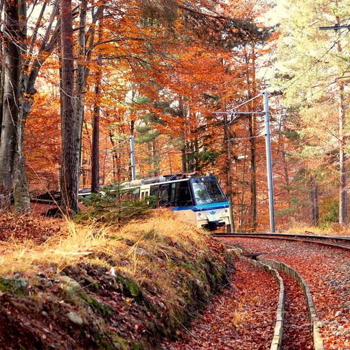L'autunno continua a splendere in Valle con la Ferrovia Vigezzina