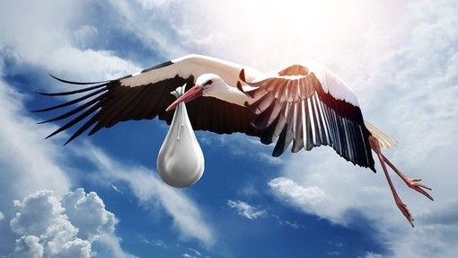 Solo in quindici comuni del Vco si nasce di più che nel resto d'Italia