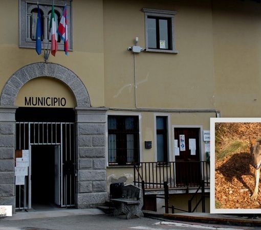Calasca Castiglione diventa territorio libero da lupi e orsi