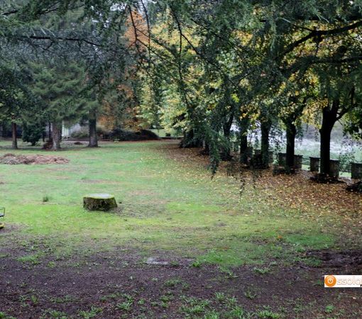 Crodo al lavoro per recuperare e valorizzare il parco delle Terme
