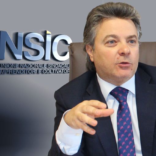 Unsic: “Rischio patrimoniale con la riforma del catasto”