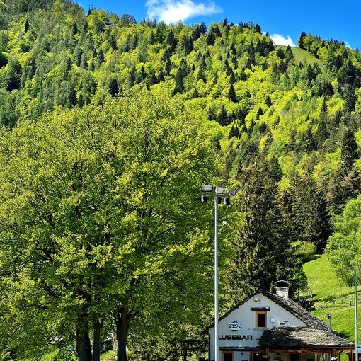 A Domobianca 25 aprile e 1° maggio grigliata in quota