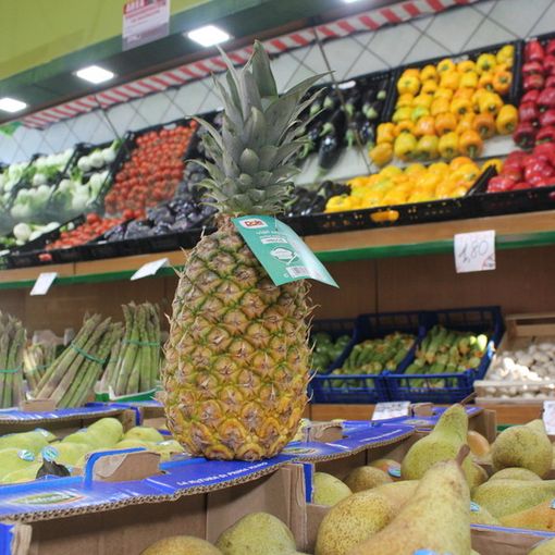 Neppure le festività natalizie rilanciano il comparto frutta: vendite in calo di oltre il 10%