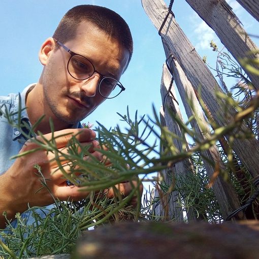 Nuovo responsabile scientifico per il Giardino botanico delle Isole di Brissago
