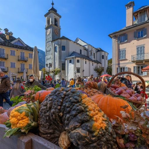 Santa Maria, tutto pronto per Fuori di Zucca