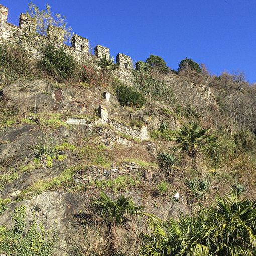 Sarà presentato a Vogogna il progetto di restauro del giardino verticale di Villa Biraghi.