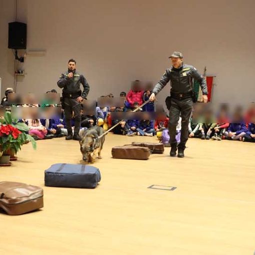 Lotta alle mafie, l'importanza di non girarsi dall'altra parte    FOTO