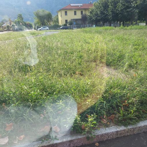 ''Un po' più di cura per piazza Lecomte''