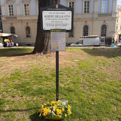 Omaggio alle donne in piazza Municipio