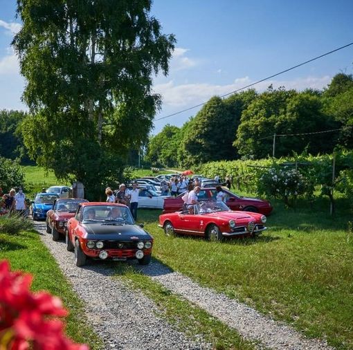 La stagione del Club Alfa Romeo Biella inizia con il “Giro delle Baragge”