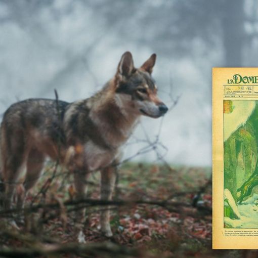 Nel riquadro la copertina della Domenica del Corriere del 30 gennaio 1927