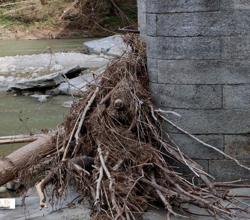''Tronchi contro il ponte: il Toce va pulito''  FOTO