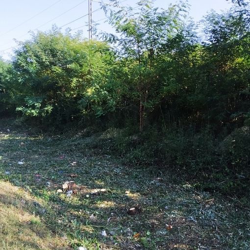 Pulizia lungo la massicciata dalla ferrovia