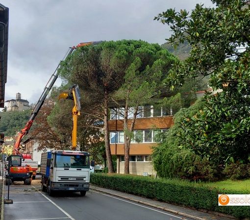Municipio chiuso a Villa per il taglio degli alberi
