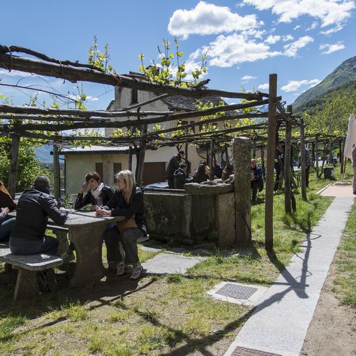 &quot;Ossola in cantina&quot;: torna l'appuntamento alla scoperta delle eccellenze vitivinicole locali