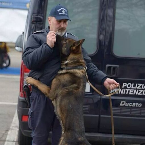 Carceri italiane, 23 nuovi conduttori cinofili in arrivo dopo il corso ad Asti