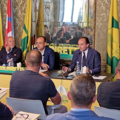 Coldiretti Novara-Vco: meno cinghiali più agricoltura