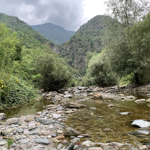 Maltempo, Coldiretti: &quot;Servono nuove infrastrutture per immagazzinare l'acqua&quot;
